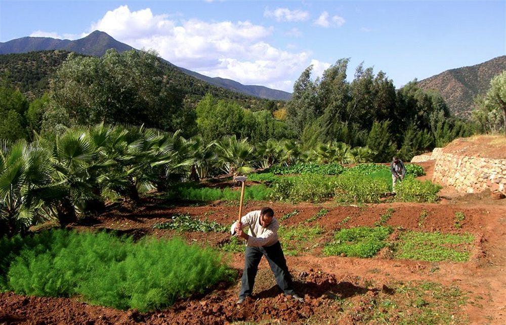 Domaine Malika Hotel Moulay Brahim Ngoại thất bức ảnh